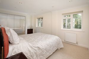 Photo 12- click for photo gallery